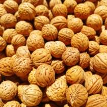 Hickory stone bracelets Hickory walnut carving raw materials Cervical health care pillow slap bag filling raw materials Hickory nuts wholesale