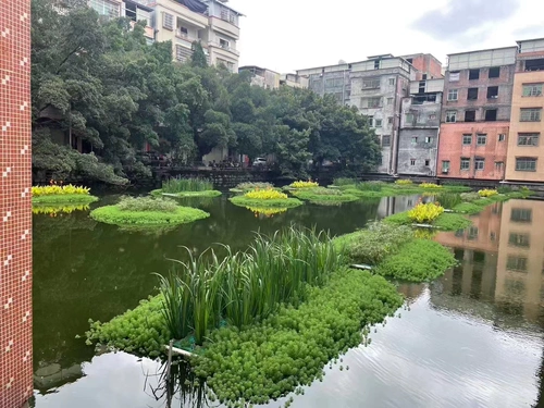 Экологический плавучий остров биологический зеленый ландшафтный дизайн