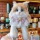 Simulated Cat Doll Ragdoll Cat Plush Toy for Children Girls Birthday Gift 2024 Trending Hot Item