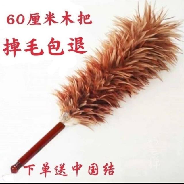 Feather Duster for Old-Style Cars and Home Use, for Sweeping Dust and Removing Dust, Does Not Shed Easily, for Ceilings, with Long Handle, Extendable