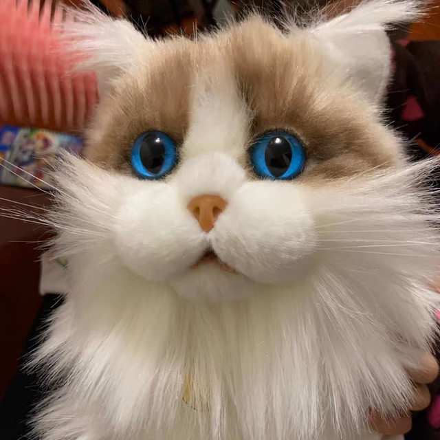 Simulated Cat Doll Ragdoll Cat Plush Toy for Children Girls Birthday Gift 2024 Trending Hot Item
