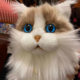 Simulated Cat Doll Ragdoll Cat Plush Toy for Children Girls Birthday Gift 2024 Trending Hot Item