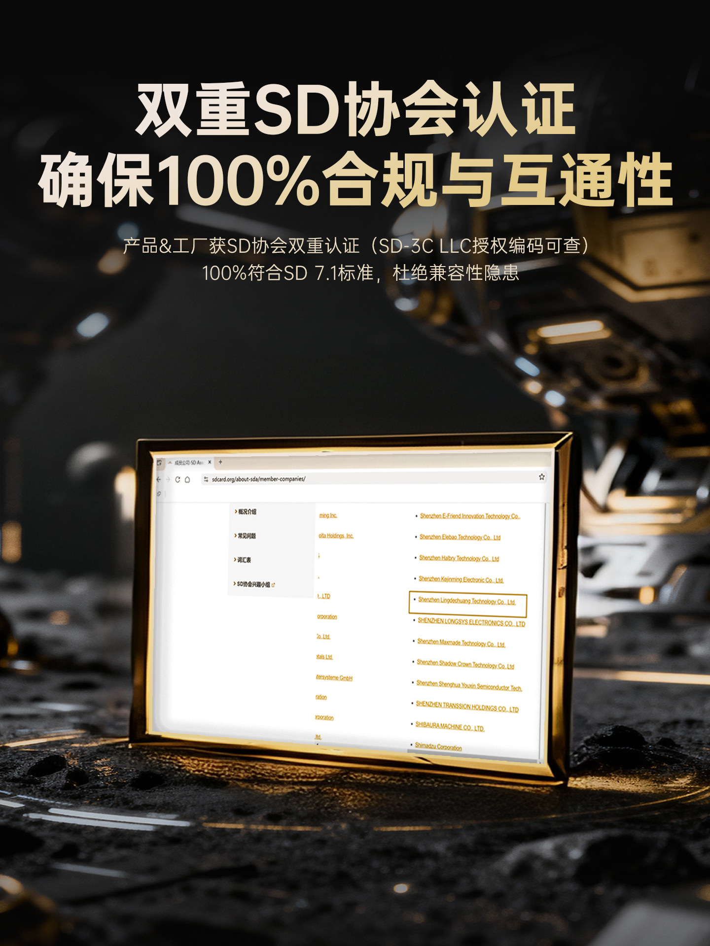 Fanxiang Memory Card 256g High-Speed Switch-Specific Storage Sd Card Drone Camera 1t Memory Card Km800