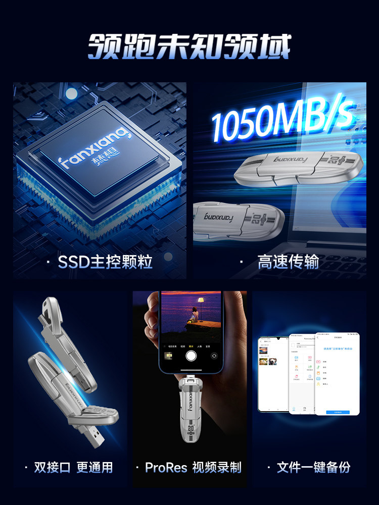 Fanxiang Genuine USB Flash Drive 1t Large Capacity Typec Dual Interface 256g Mobile Phone Computer Solid-State High-Speed USB Flash Drive Du110