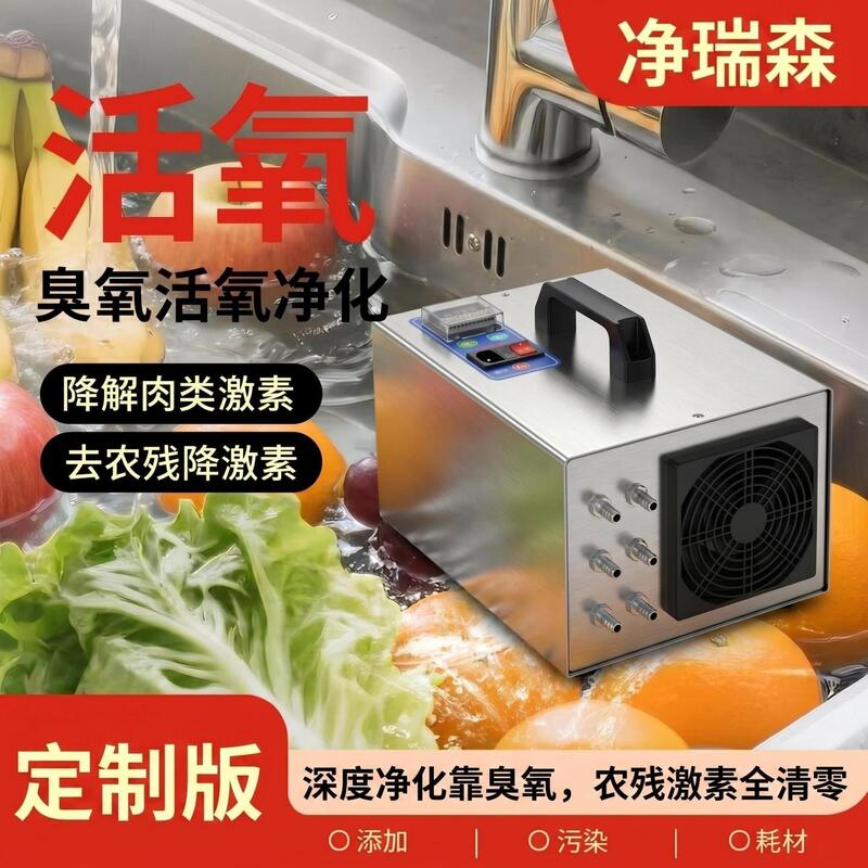 Ozone Purification Machine for Meat, Fruits, Vegetables, Etc. to Remove Pesticide Residues and Hormones Ozone Purification Machine for Meat, Fruits, Vegetables, Etc. to Remove Pesticide Residues and Hormones
