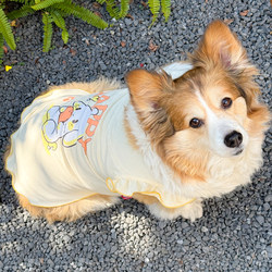Corgi Pet Dress, Summer Thin Clothing, Cute Dog Dress, Anti-Shedding Kitten Sun Protection Clothing, Puppy Bichon Vest