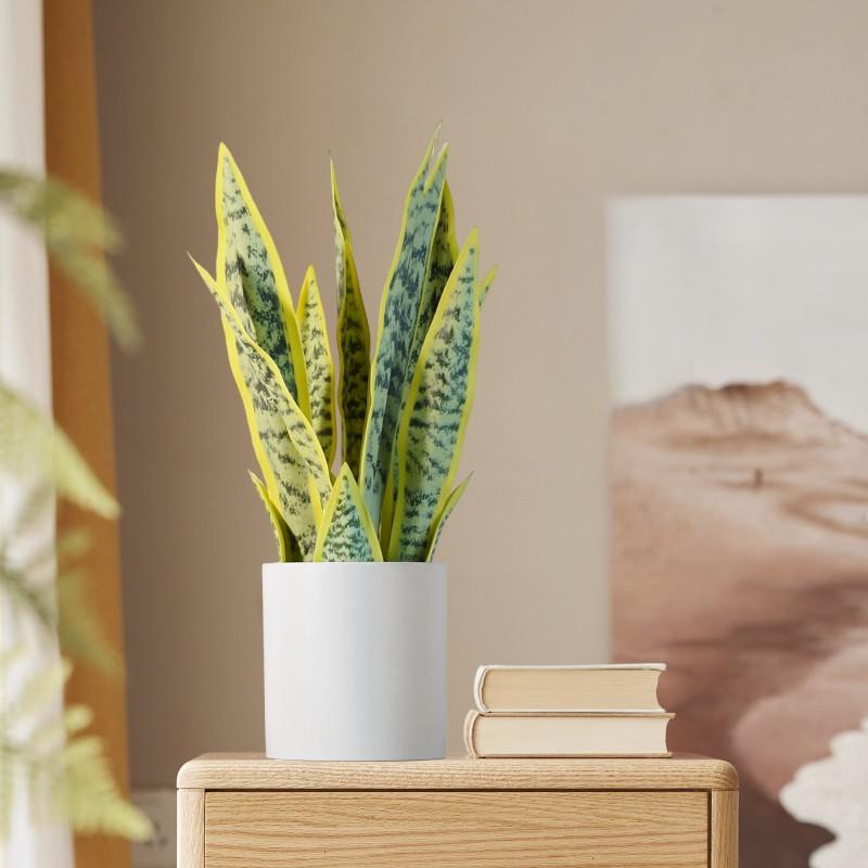 Nordic Artificial Plant Desktop Bonsai Green Plant Potted Indoor Office Workstation Decoration Artificial Snake Plant Ornament Nordic Artificial Plant Desktop Bonsai Green Plant Potted Indoor Office Workstation Decoration Artificial Snake Plant Ornament
