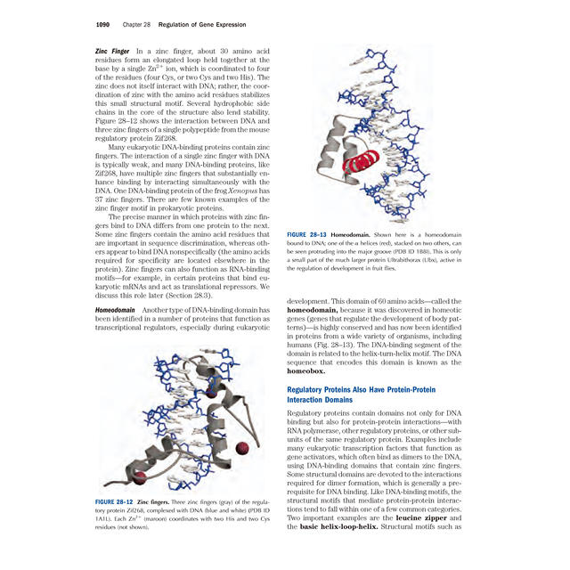 Principles of Biochemistry 7Th Edition Lehninger Principles of Biochemistry