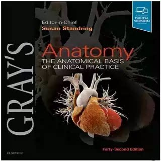 Gray's Anatomy textbook - Product image 2