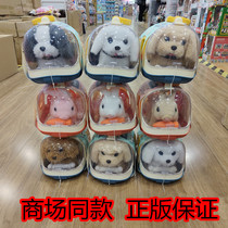 Chaosheng Aido Meiqi Cute Electric Cute Bunny Plush Dog Golden Retriever Teddy Dog Bichon Frize Pet Basket Gift