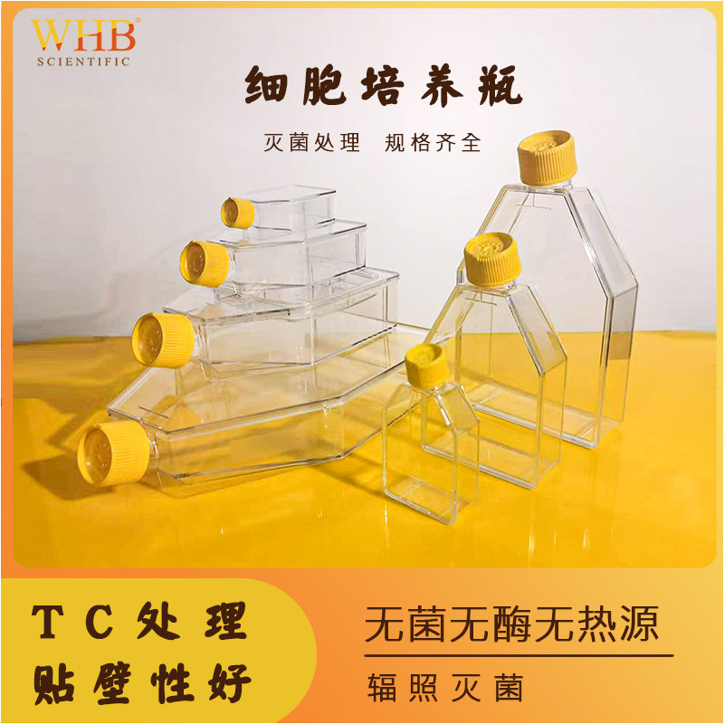 WHB细胞培养瓶T25T75T150T300斜口透明瓶密封盖透气盖TC处理斜颈培养瓶无菌无酶无热原
