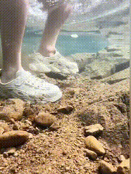 4 (2).gif