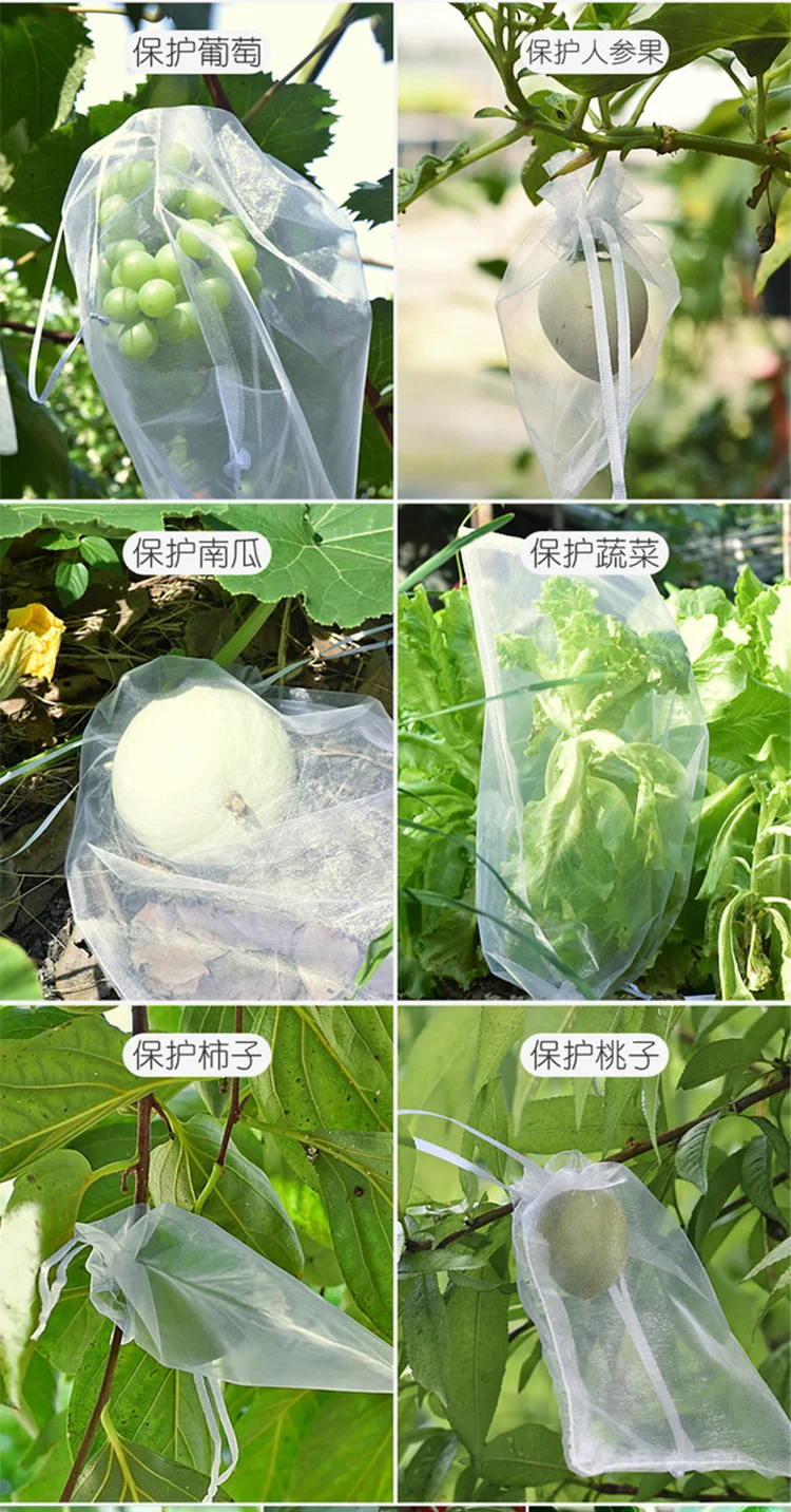 9.webp