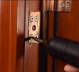 20250425_160259_003.gif