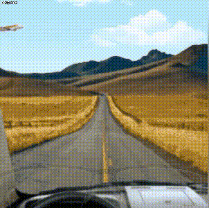 P_017.gif
