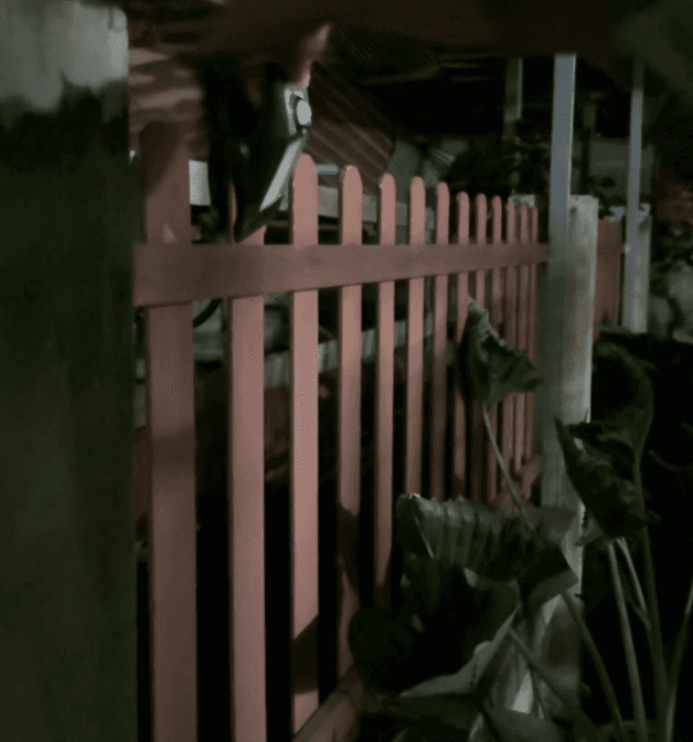 20250414_111007_011.gif