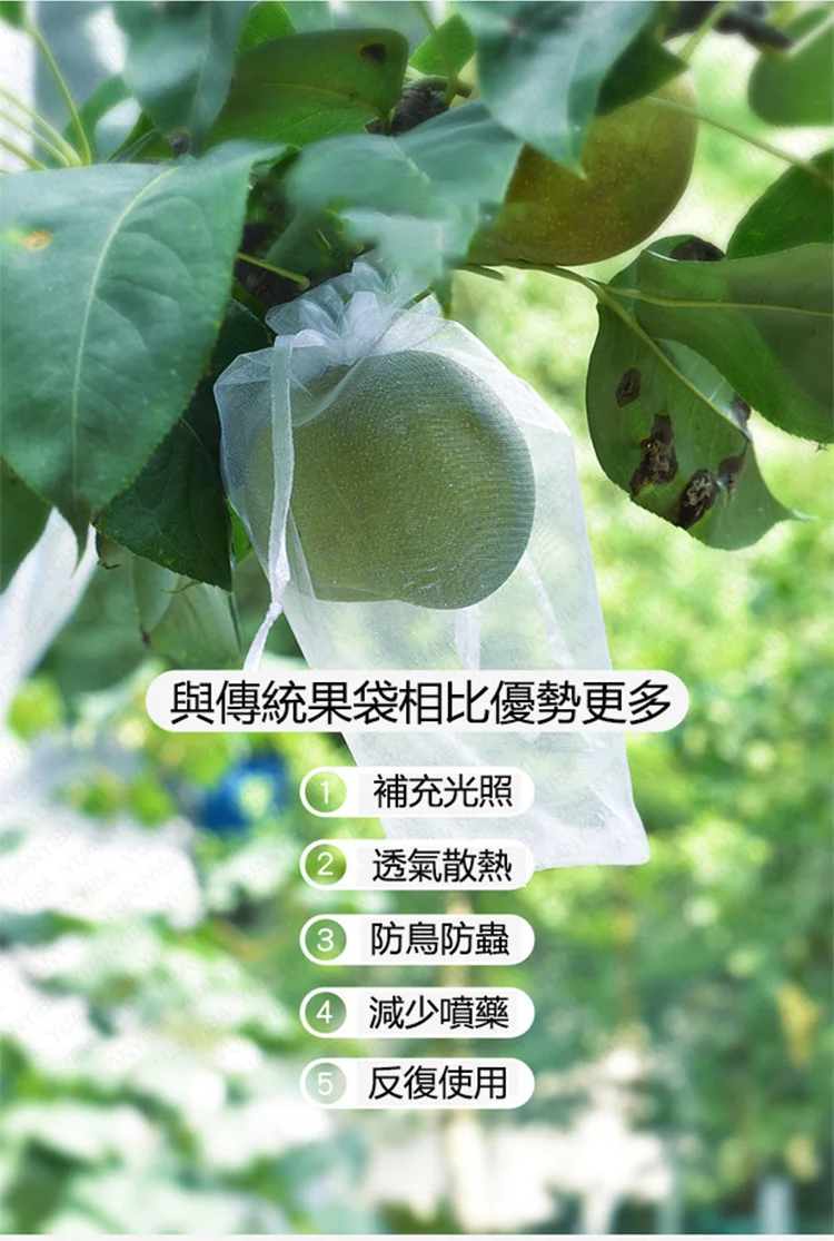 16.webp