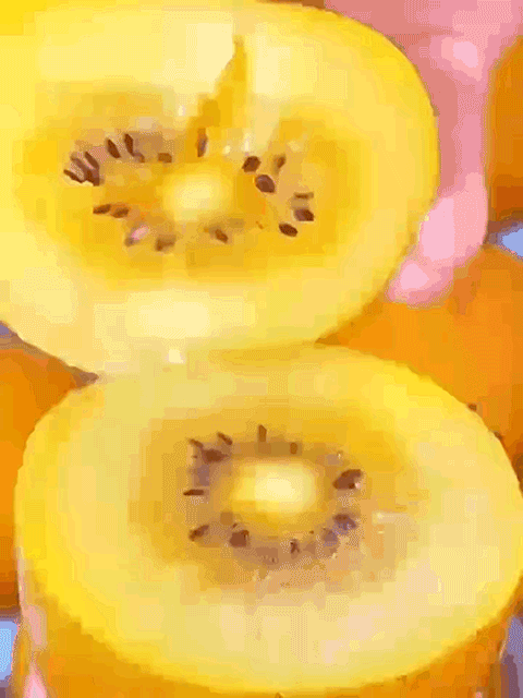10.gif
