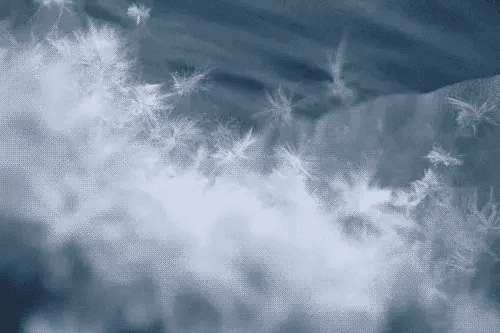 20241110_170857_019.gif