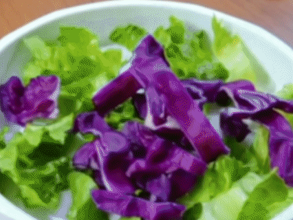 20260529_150148_005.gif