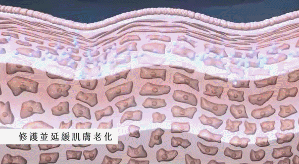 DM_20250408153940_010.gif