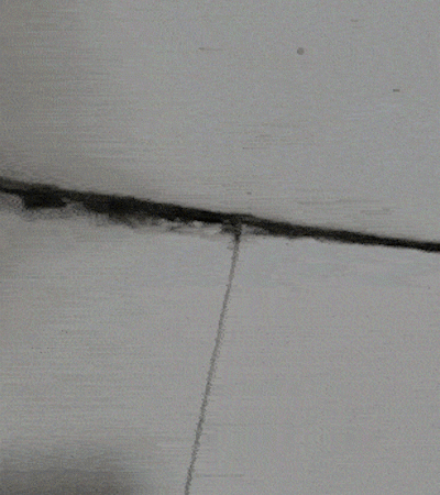 pic_004.gif