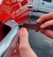 13.gif