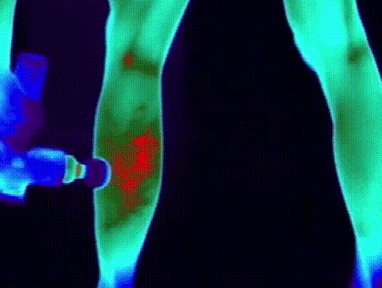 017.gif