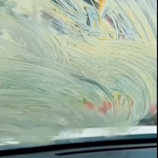 20241129_131747_069.webp