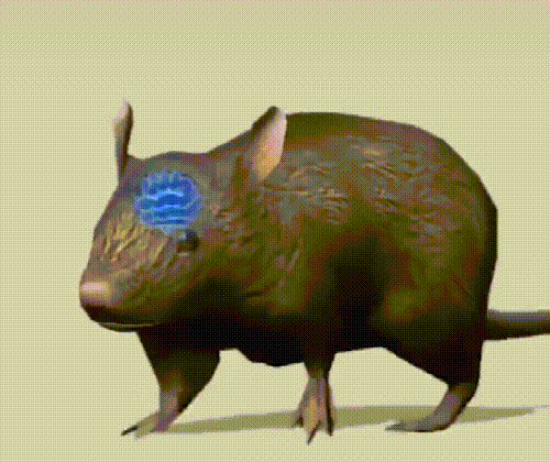 20260407_100254_008.gif