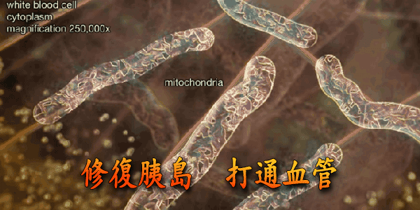 DM_20240903175308_014.gif