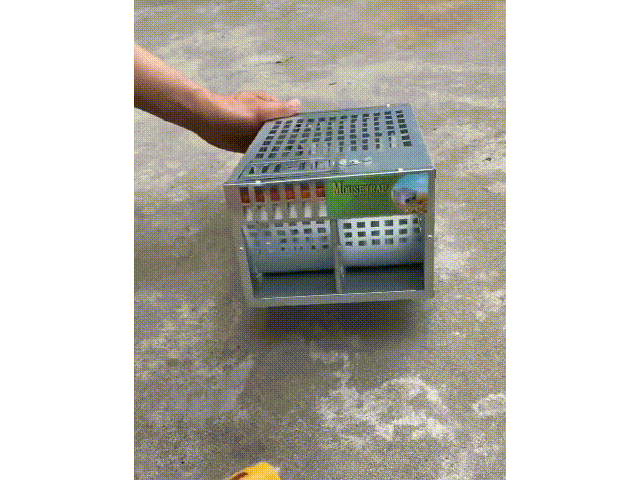 10.gif