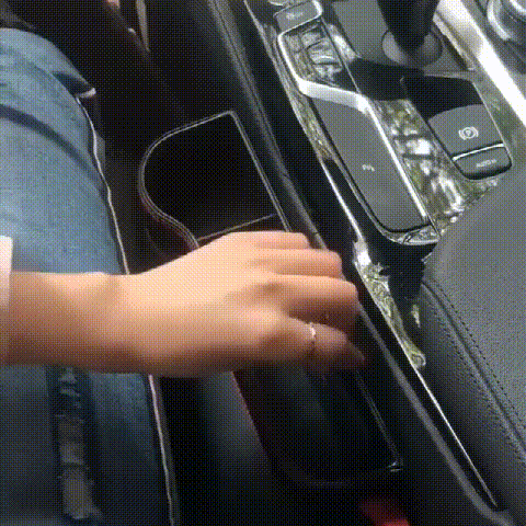 P_010.gif