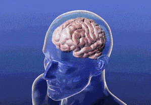 DM_20240830170858_020.gif