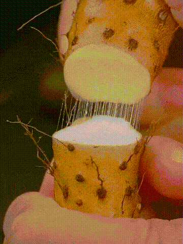 16、 (1).gif
