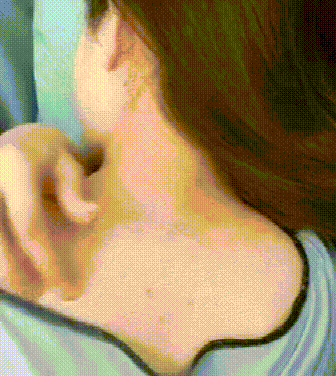 P_004.gif