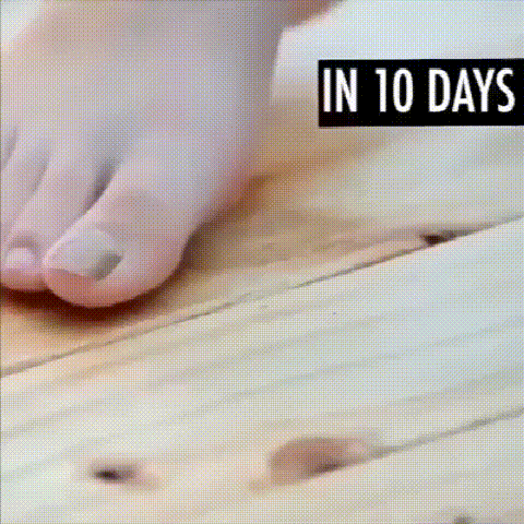008.gif