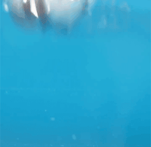 DM_20240723144835_011.gif