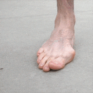 20240731_101222_018.gif