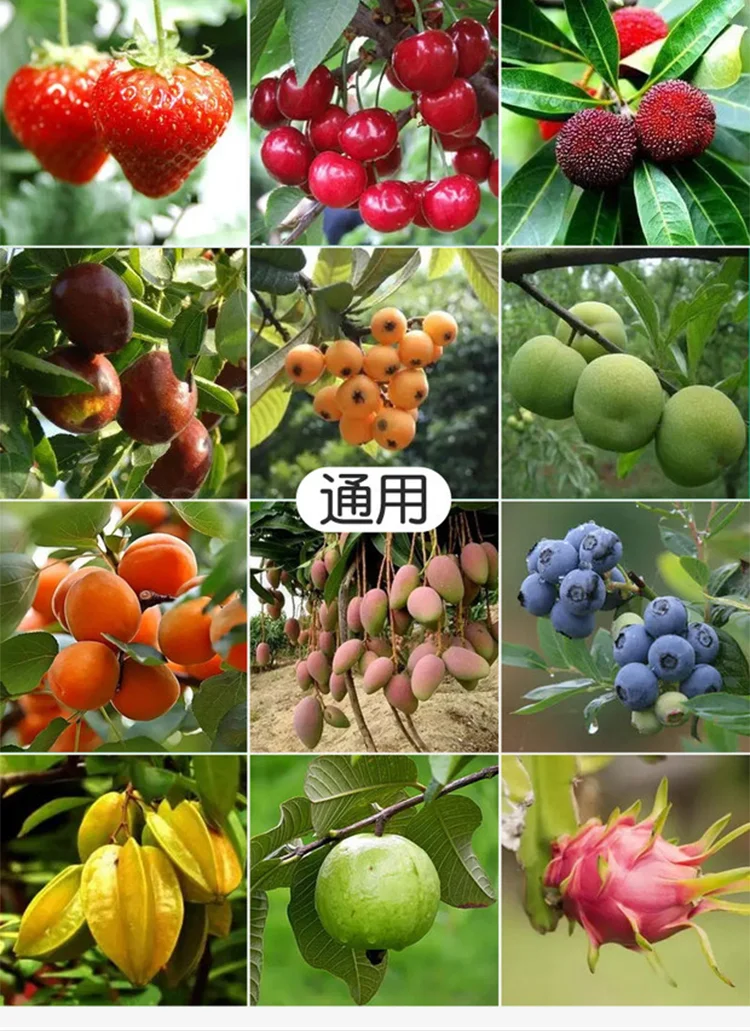 8.webp