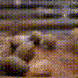 20240912_110342_047 (1).gif