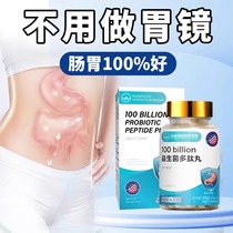 (New Power Week ex-gratia active price) Gastroenterology Department probiotics adults improve their stomachs and stomach discomfort