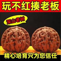 High-quality cultural toys walnuts lion heads Wang Yong official hats four buildings old trees original colors health-care hemp walnuts gift packs