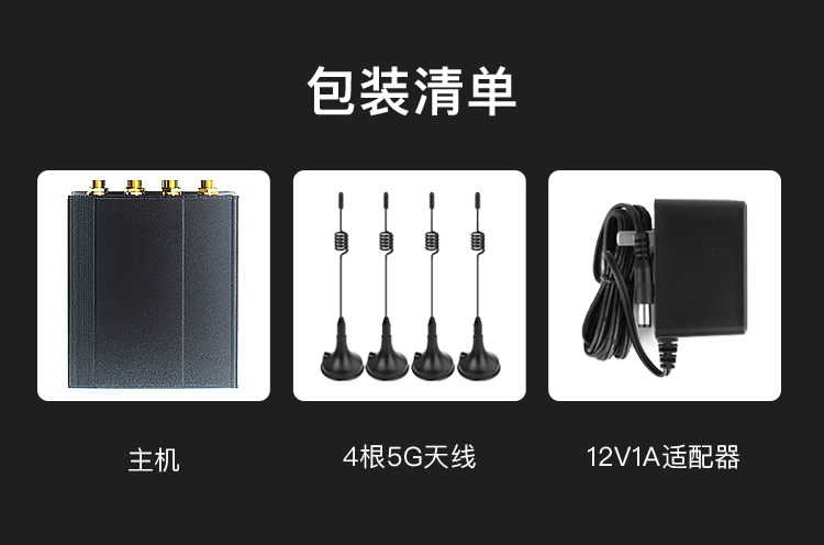 R520(图12)