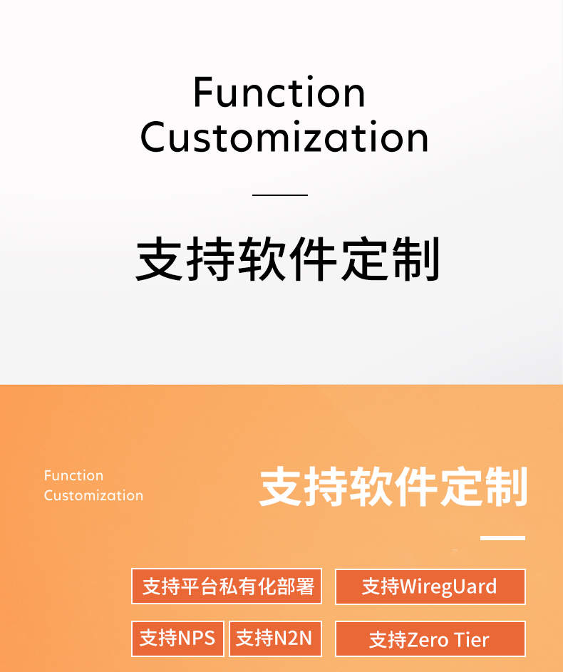 RFT453(图4)