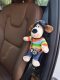 汽车安全带护肩套可爱高级公仔玩偶车载好物车内装饰品防磨衣服
