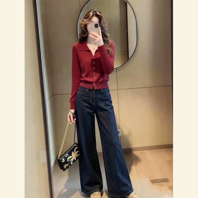 Autumn Outfit Set for Women, Korean Style, Slimming, Polo Collar Pullover Knit Top and Wide-Leg Pants Two-Piece Set Autumn Outfit Set for Women, Korean Style, Slimming, Polo Collar Pullover Knit Top and Wide-Leg Pants Two-Piece Set