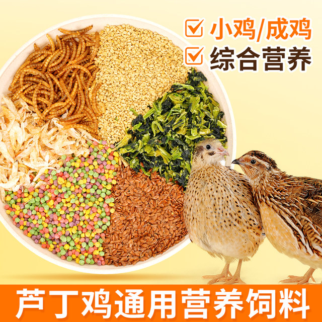 Universal rutin feed chicken pellets grain ໂພຊະນາການອາຫານປະຈໍາວັນ rutin ເມັດໄກ່ rutin ອາຫານພິເສດໄກ່