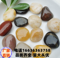 Hainan rain pebble rudimentary stone natural pebble multi-carnivorous fish tank decorated flower pot potted small stone