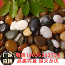 Jiangsu Yuhua stone raw stone natural pebbles succulent pavement fish tank decorative flower potted five-color small stones